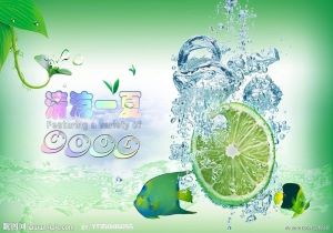 罗马击败对手，晋级欧冠半决赛