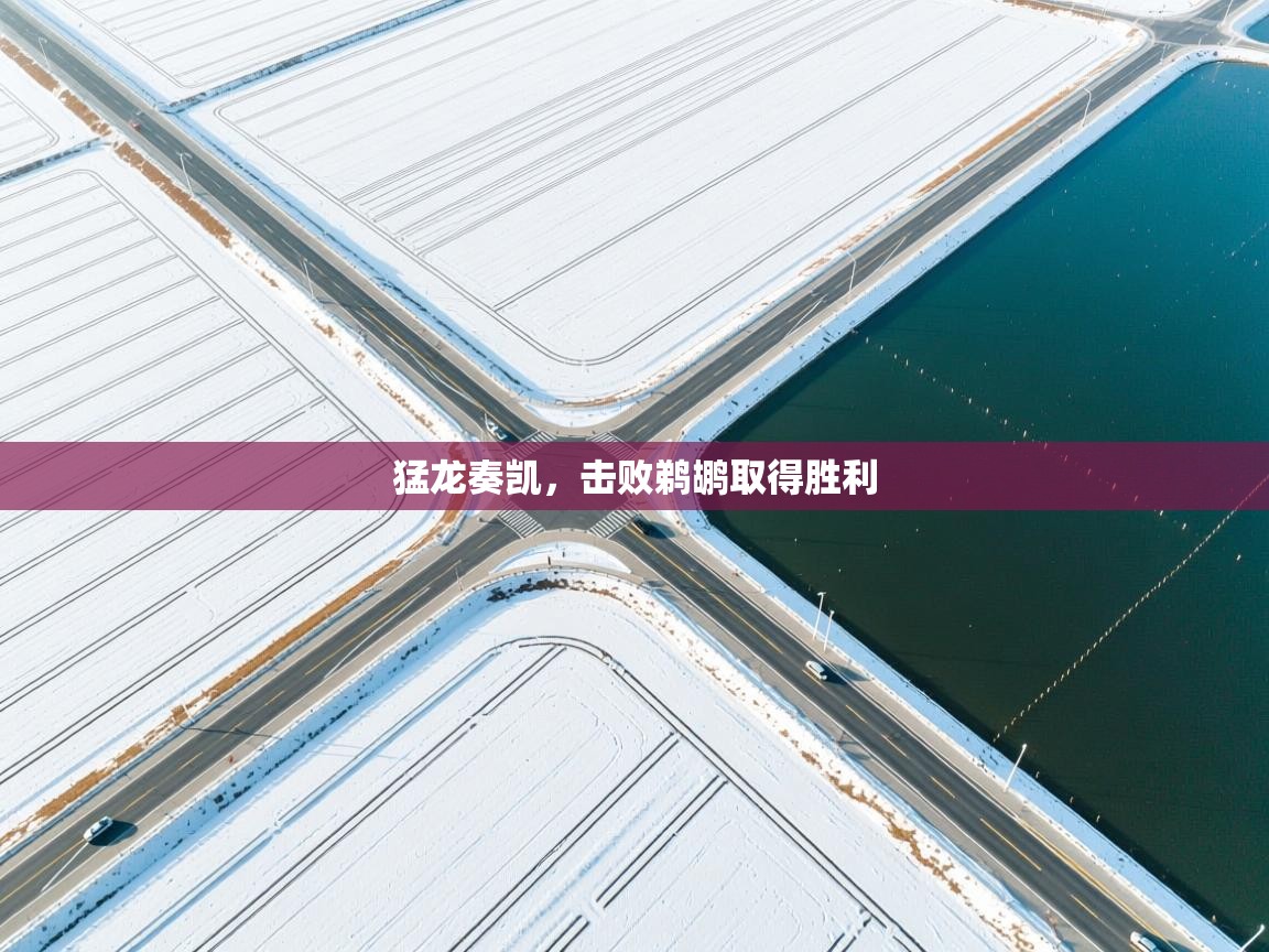 猛龙奏凯，击败鹈鹕取得胜利