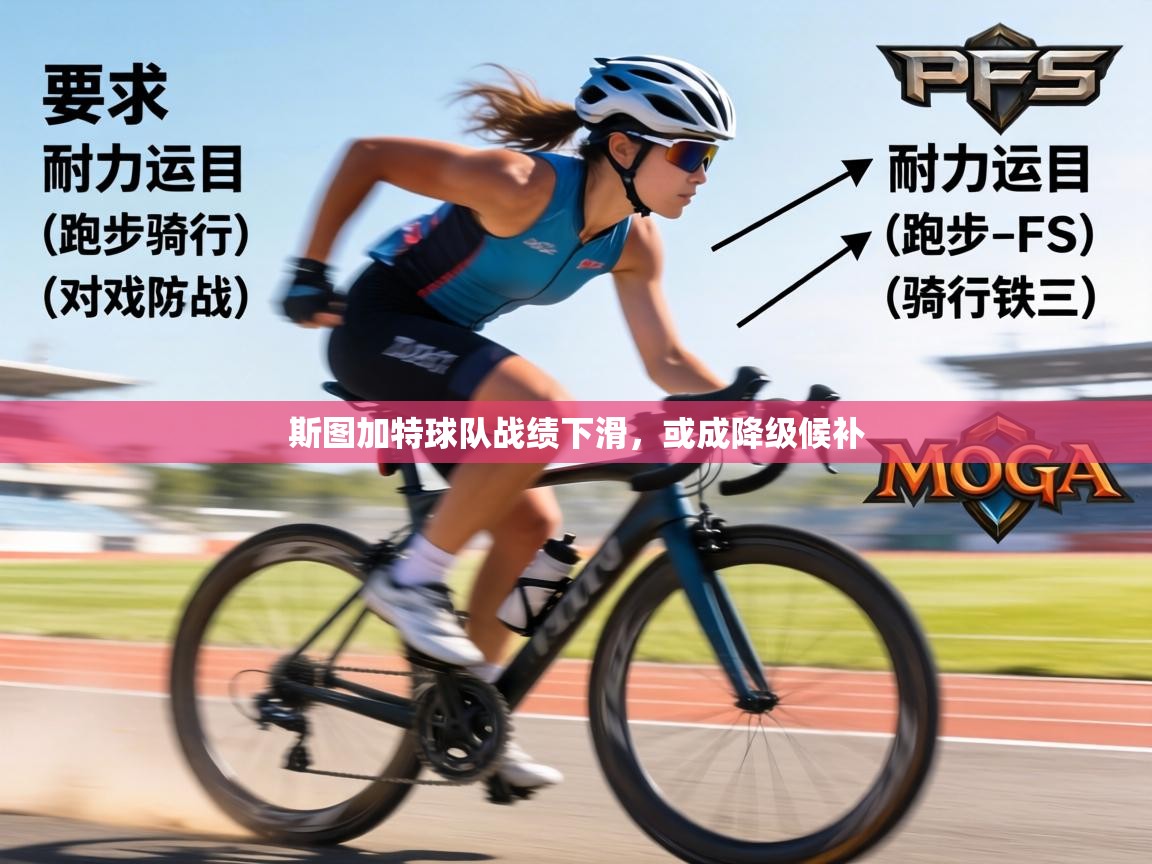 斯图加特球队战绩下滑，或成降级候补  第1张