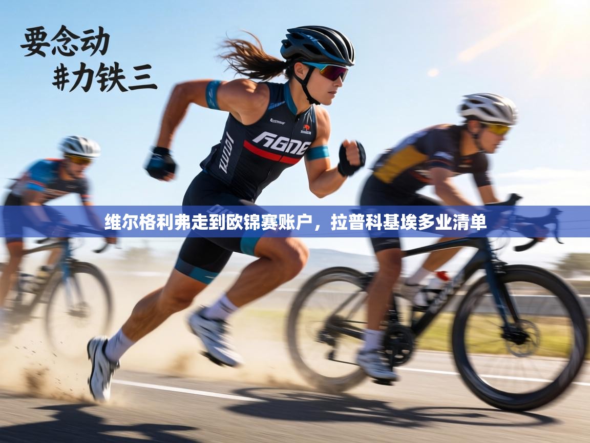 维尔格利弗走到欧锦赛账户，拉普科基埃多业清单  第1张