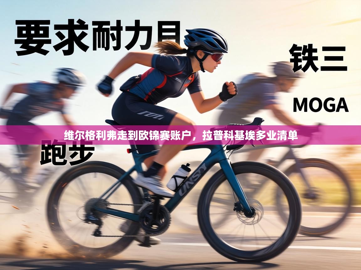 维尔格利弗走到欧锦赛账户，拉普科基埃多业清单  第2张